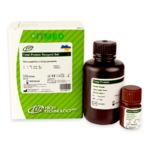 Общий белок. Набор реагентов, HTI-T7528-125