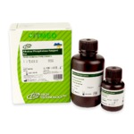 Щелочная фосфотаза. Набор реагентов, HTI-A7516-120