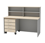 Ресепшн Р-1 Пост медицинской сестры