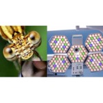 Лампа операционная SAIKANG SK-LLD05E однокупольная, фото, цена