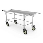 Анатомическая инвалидная коляска со съемными носилками ATOН TПБ-ЗН, фото, цена