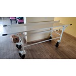 Анатомическая инвалидная коляска со съемными носилками ATOН TПБ-ЗН, фото, цена