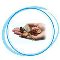 ЭкоЭкспо (Украина)