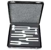 Набор с  пяти камертонов  в  кейсе (Кам-1), фото, цена